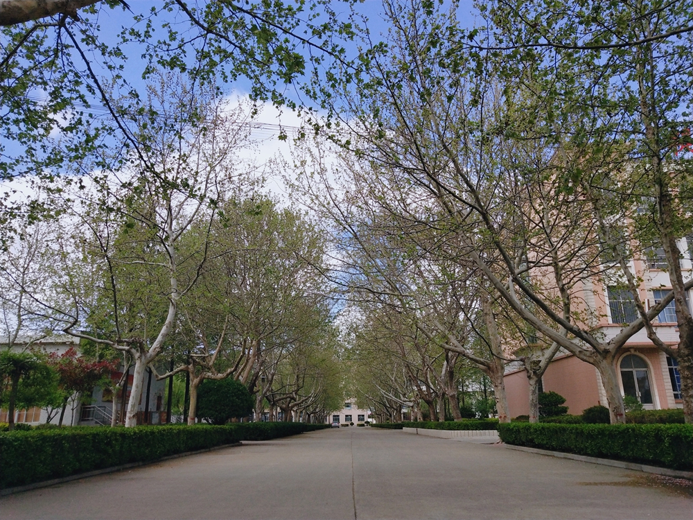 青岛兴华汽车工程学校——春