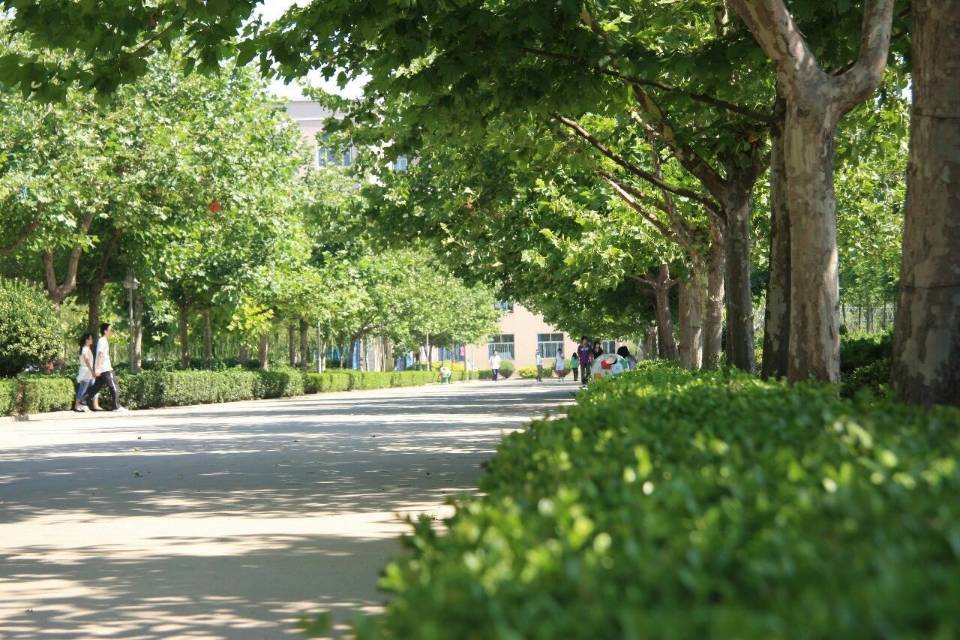 青岛兴华汽车工程学校——夏